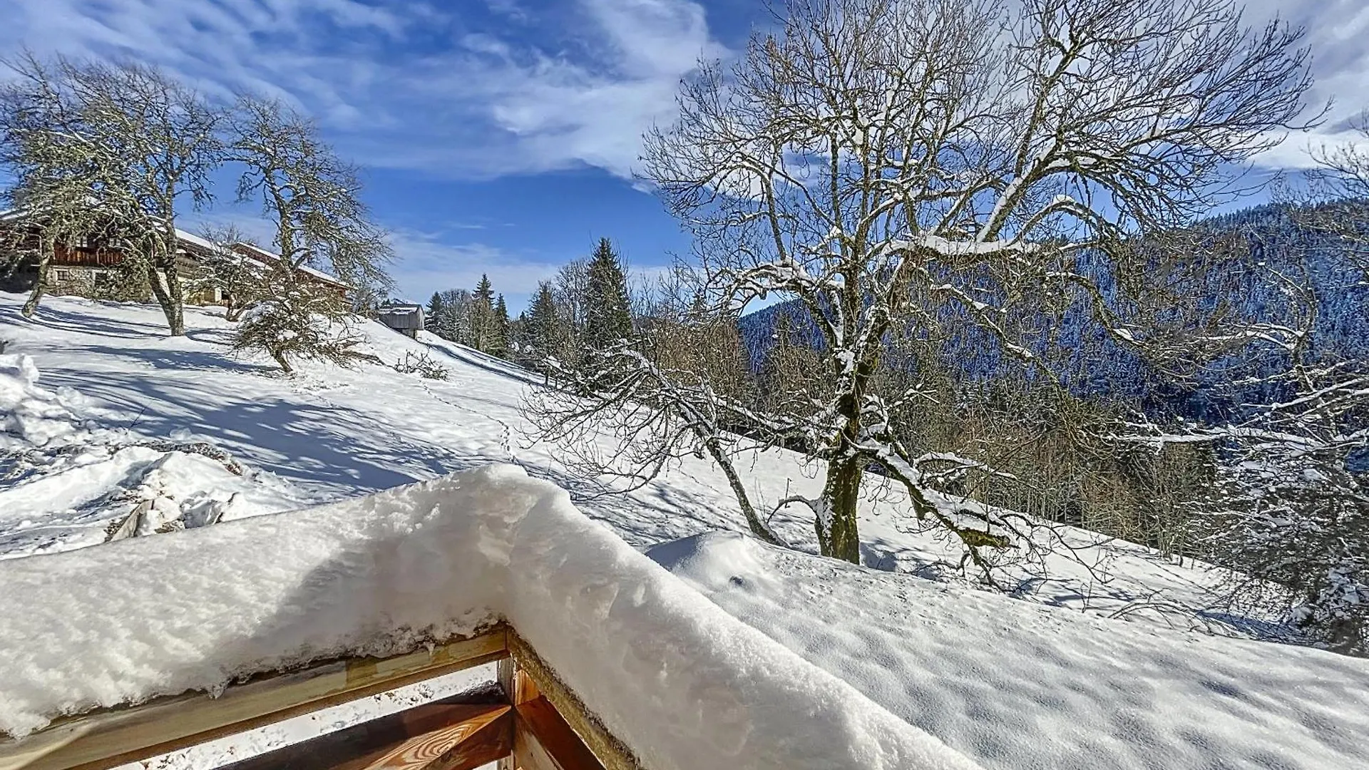 Chalet Bahia - Les Gets - Secteur Le Lavay France